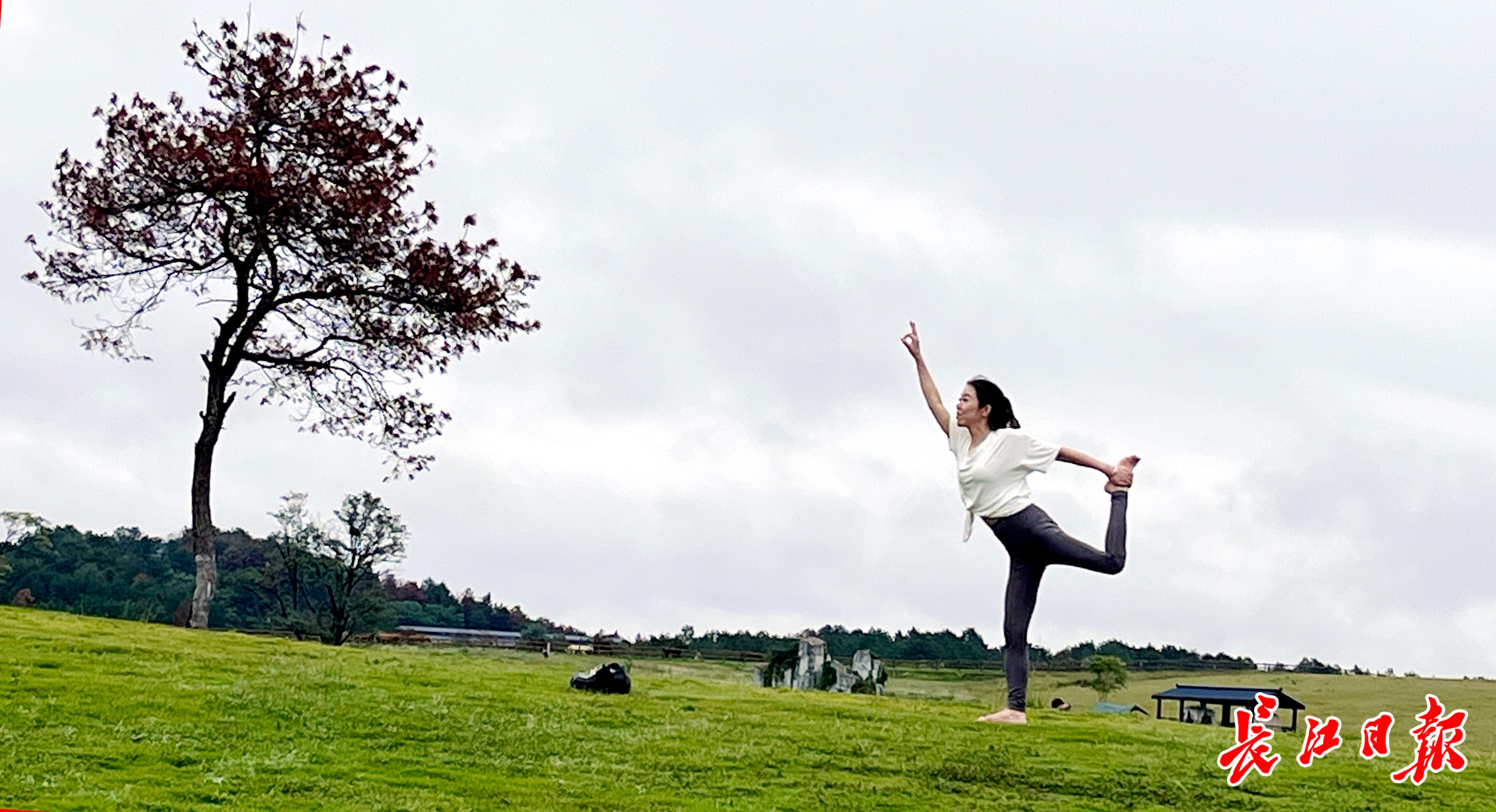 健身瑜伽为木兰草原的秋日添一抹亮色(图1)