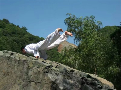 新浦京8883瑜伽教练培训哪里好——中国最专业的瑜伽教练培训学校(图3)