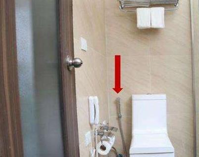 新浦京8883泰国游玩时为何酒店厕所里面都有一根软管？用途让人无法接受(图4)